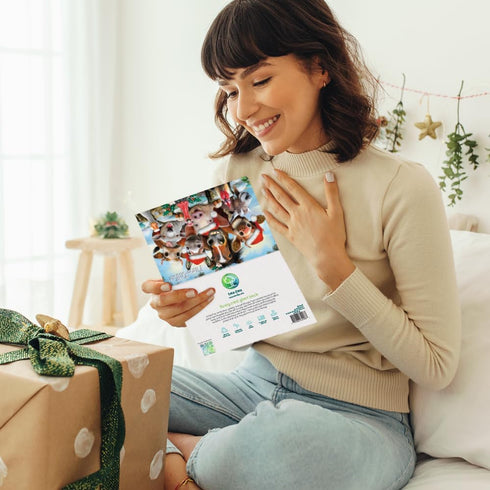 Tree-Free Greetings Season's Greeting Cards, 10 Cards + Envelopes, 100% Recycled Paper, Made in USA