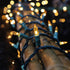 Light,100 Count LAMPHOME Christmas String Incandescent Mini String Light for Indoor & Outdoor Use (Yellow)