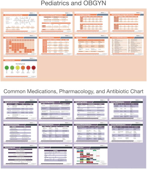 56 Set Nursing Scrubnotes by Medical Basics - Nursing Badge Reference Card - Nursing School Essential Cheat Sheets