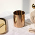 Rose Gold Glossy Stainless Steel Pen Holder, Pencil Cup for Desk Organizers, Makeup Brush Holder, Mini Pot Decor