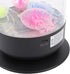 7 3 Pomya LED Lamp, Color Changing Mood Light with Water Speeds, Quiet Brushless Motor, Night Light for Bedroom Desk