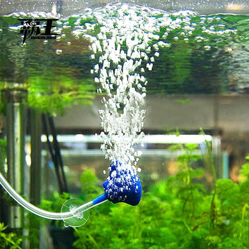 5/16" 1/2" 26.25ft Feelers ID x OD Silicone Tubing Food Grade Pure Silicon Tube High Temp Home Brewing Winemaking