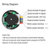 Encoder Metal Gearmotor 12V DC High Speed 600RPM Gear Motor with Encoder for Robotics