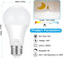 100W Equivalent Light Bulb, 12W E26 LED Bulbs, Non-Dimmable, Daylight White 6500K 4-Pack by Hanbaak