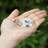 Screws,130lbs+ Countersunk 10 Pack Neosmuk Magnets with Heavy Duty Rare Earth Neodymium Mounting Magnets with Holes