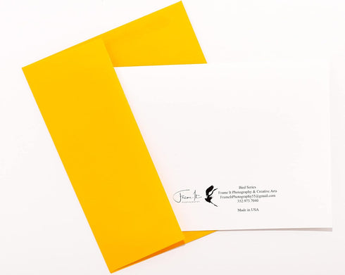 Frame It Photography & Creative Arts 16 w/18 Set (4.25"x 5.50") Bird Photography Smooth Note Cards Colored Envelopes