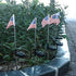 Epicgadget Solar Lights Outdoor, 2 Pieces American Flag Shaped Solar Powered Garden Lights for Pathway Decor