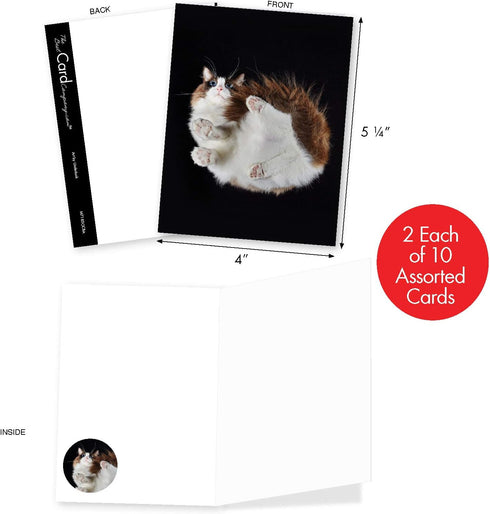 The Best Card Company - 20 Adorable Cat Greeting Cards (4 x 5.12 Inch) - Blank Assortment (10 Designs, 2 Each)