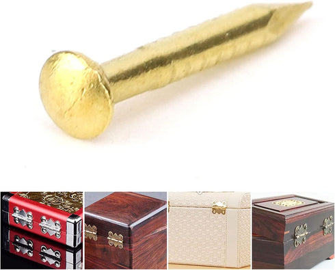 Brass Escutcheon Tacks, Round Head Nail Furniture Hinge Hardware Assortment Kit, 100Pcs 10mm Upholstery Tack Metal