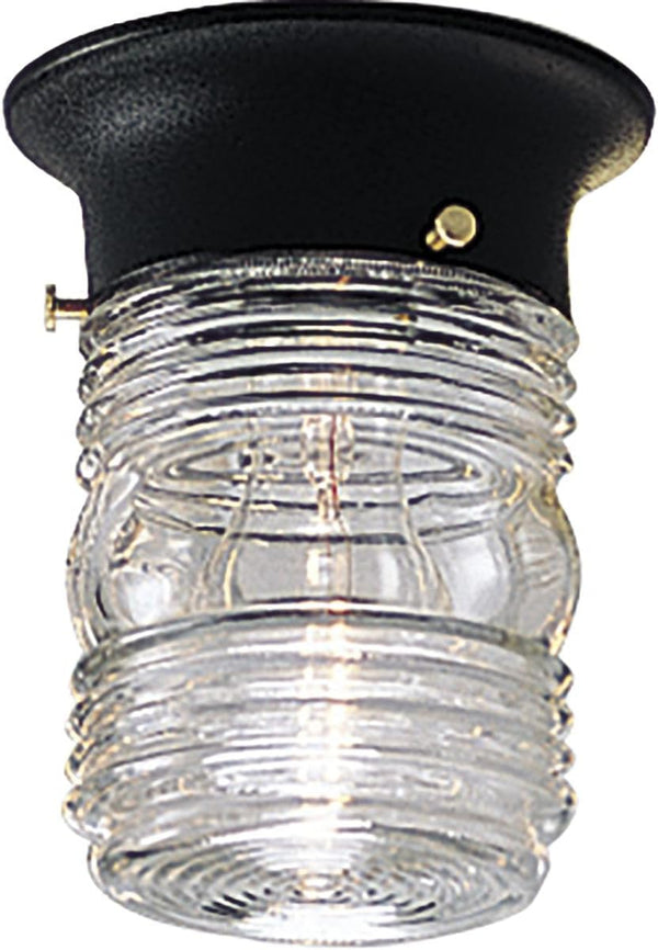 Progress Lighting 1-Light Clear Glass Traditional Outdoor Close-to-Ceiling Light, Outdoor, P5603-31, Textured