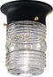 Progress Lighting 1-Light Clear Glass Traditional Outdoor Close-to-Ceiling Light, Outdoor, P5603-31, Textured