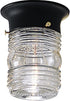 Progress Lighting 1-Light Clear Glass Traditional Outdoor Close-to-Ceiling Light, Outdoor, P5603-31, Textured