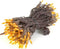 Novelty Lights 50 Feet 100 Bulbs Traditional Incandescent Mini Lights, Amber on