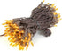 Novelty Lights 50 Feet 100 Bulbs Traditional Incandescent Mini Lights, Amber on