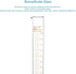 Stonylab 1-Pack Graduated Cylinder, Borosilicate Glass, 1000 ml Heavy Wall Measuring Cylinder