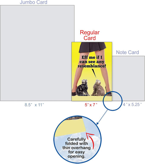 NobleWorks - 1 Funny Birthday Card for Women, Inappropriate Humor, Hilarious Birthdays (Buyer Discretion Advised)