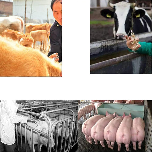 100ml Plastic and Stainless Steel Syringe, Reusable Measuring Syringe Tools for Animal Veterinary, Industrial