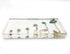 Bean Germination in Acrylic Block, Lifecycle of Bean Biology Science Classroom Specimens