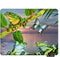 Frog Gaming Mousepad, Cartoon Butterfly Frog Green Leaves Mouse Pad for Computer Desk, 9.5 X 7.9 Inch