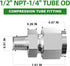 TAISHER 2PCS 304 Stainless Steel Compression Tube Pipe Fitting Connector, 1/2" Tube OD x 1/4" NPT Male