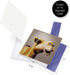 The Best Card Company 20 Bulk Animal Note Cards Blank (4 x 5.12 Inch) - Fun Assorted Notecards with Envelopes