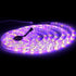 IP65 3500K 16.4ft 300leds 5050 SUPERNIGHT RGBWW LED Strip Light Waterproof RGB Color Changing Rope Lighting with Warm