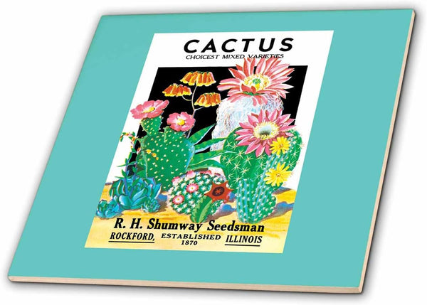 3dRose Cactus Choicest Mixed Varieties Seed Packet Shumway Seedsman 8 Inch Ceramic