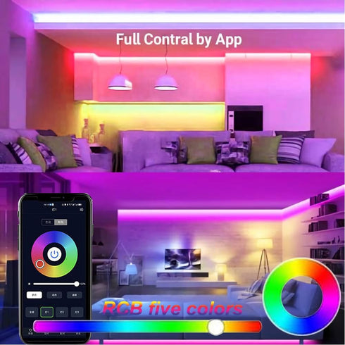 12W A60 Bulb 2.4GHz Dimmable 3000-6500K,100W Equivalent,1000LM CRI>80,E26 Decor,2 Bulbs 1 GRV Smart LED Light with a