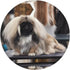 JaoXer 8-Inch Pekingese Dog Round Mouse Pad - Your Desk Companion for Office, Desktop, Laptop, Personal Computers