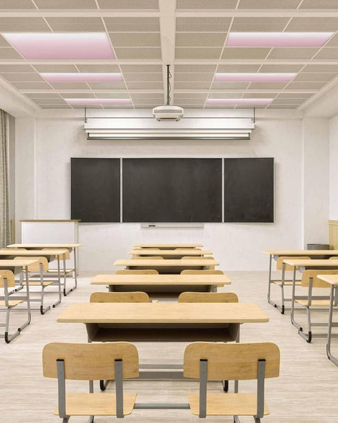 Futuregrace Ceiling,2 Pack 4x2 Magnetic Light Cover for Classroom Drop Ft Fluorescent Light Covers for Office Home