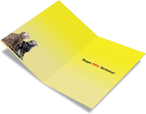 NobleWorks - 1 Funny Birthday Card for Women, Inappropriate Humor, Hilarious Birthdays (Buyer Discretion Advised)