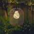 6 TRIROCKS Hanging Lamp Battery Operated Hanging Light Cordless Pendant Lamp Metal Mesh Lanterns with Hours Timer