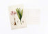 Vintage Collection Postcard Set: 30 Pack of Retro Style Botanical, Nature and Ephemera Postcards