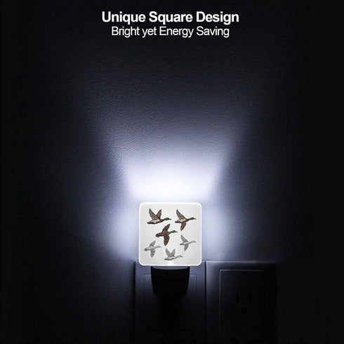 Chrobak LED Night Light Plug into Wall with Dusk to Dawn Light Sensor White Energy Efficient Duck Mallard Wild Bird