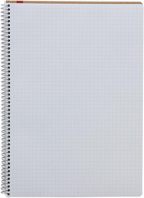 Maruman N246ES B5 Ring Notebook, 0.2 inch (5 mm) Square Ruled, Basic, Set of 5, 80 Pieces