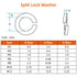 M8 Lock Washer Spring Lock Washer, Stainless Steel 18-8 (304), Black Finish, 100 PCS
