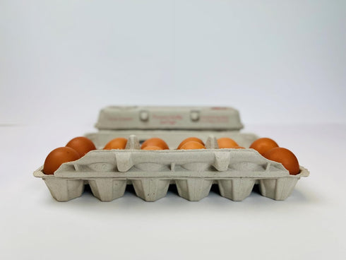 12-Pack Recycled Paper Pulp Egg Cartons - Solid Top Style in Red/Brown for Chicken Eggs - Made in the USA
