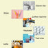 Set Hummingbird 10PCS 8 Inches Nylon Tube Brush Pipe Tube Cleaner Bottle Cleaning Brushes for Drinking Straws Glasses