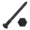 Party Animal Hex Head Lag Screws, 5/16" x 5-1/2", 10PCS Stainless Steel Black Zinc Lag Bolts for Wood