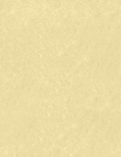 LUXPaper 8.5" x 11" Cardstock, Gold Parchment, 65lb. Cover, 50 Qty