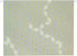 Paper Junkie 12 Pack Decorative Hanging File Folders, 1/5 Tab, Gold Foil Geometric Design, 11.75 x 9