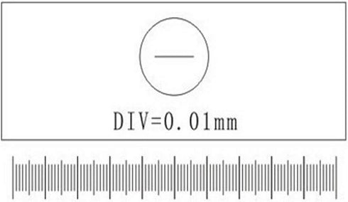 Microscope Micrometer Net Shaped Eyepiece Calibration Ruler Slides for Area Measuring