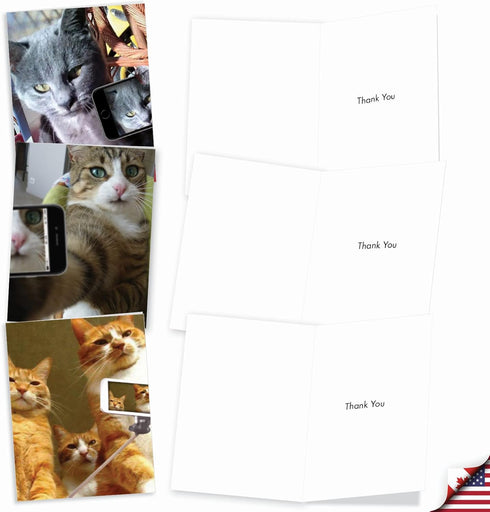 The Best Card Company 10 Assorted Thank You Notecards Bulk Box Set (4 x 5.12 Inch, 10 Designs, 1 Each) Cats Selfie