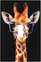 HTSAHKV Giraffe Wall Plate Light Switch Cover Single Gang Outlet Faceplate Print Plate