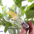 DC12V A19 Bulbs, E26 4W (40-Watt Bulbs, 12V Dimmable Bulbs 2700K Pack 4 LED Vintage Light Base Replacement) Edison