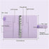 YCMGBH A6 Set,with PU Leather Budget Binder Notebook Cash Envelopes System Binder Pockets for Money Budget Saving Bill