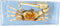GFAZXDS Study Model Fiddler Crab Embedded Specimen Marine Life Crab Specimen Model, Raw