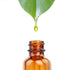 1oz Amber Glass Bottles for Essential Oils, Pack of 12 with Glass Eye Dropper