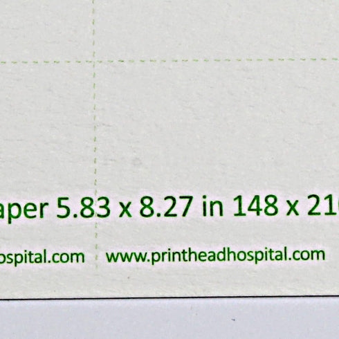 Heavyweight Blotting Paper - 8x6 (10 Absorbent Sheets) for Flower Press, Calligraphy, Inkjet Printer Cleaning - Highly
