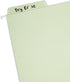 Smead Erasable FasTab Hanging File Folder, 1/3-Cut Built-in Tab, Letter Size, Moss, 20 per Box (64032)